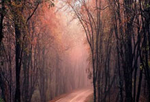 竞彩买球平台 -华能济宁运河发电申请用于发电厂发电计划考核方法及系统专利，确保了考核的连续性和实时性