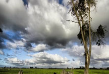 竞彩买球平台 -裕太微(688515.SH)：拟定增募资不超13.61亿元