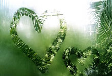 竞彩买球平台 -湖南沅陵盘古标龙队挥桨赴“龙超”联赛之约