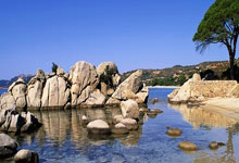 竞彩买球平台 -华能济宁运河发电申请用于发电厂发电计划考核方法及系统专利，确保了考核的连续性和实时性